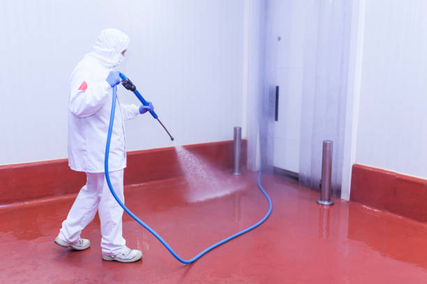 Best Rust Removal  in Lake Lifornia, CA