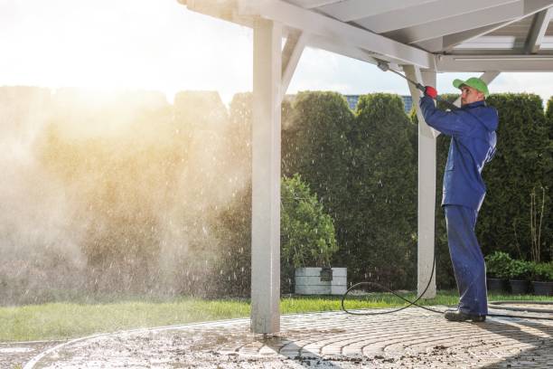 Best Sidewalk and Walkway Cleaning  in Lake Lifornia, CA